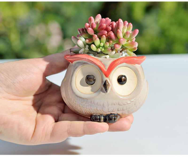 Owl Flower Pot (Small)