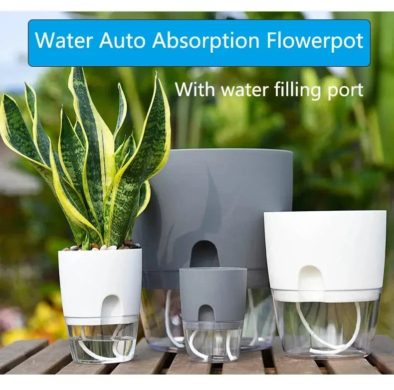 Self-Watering Flower Pot