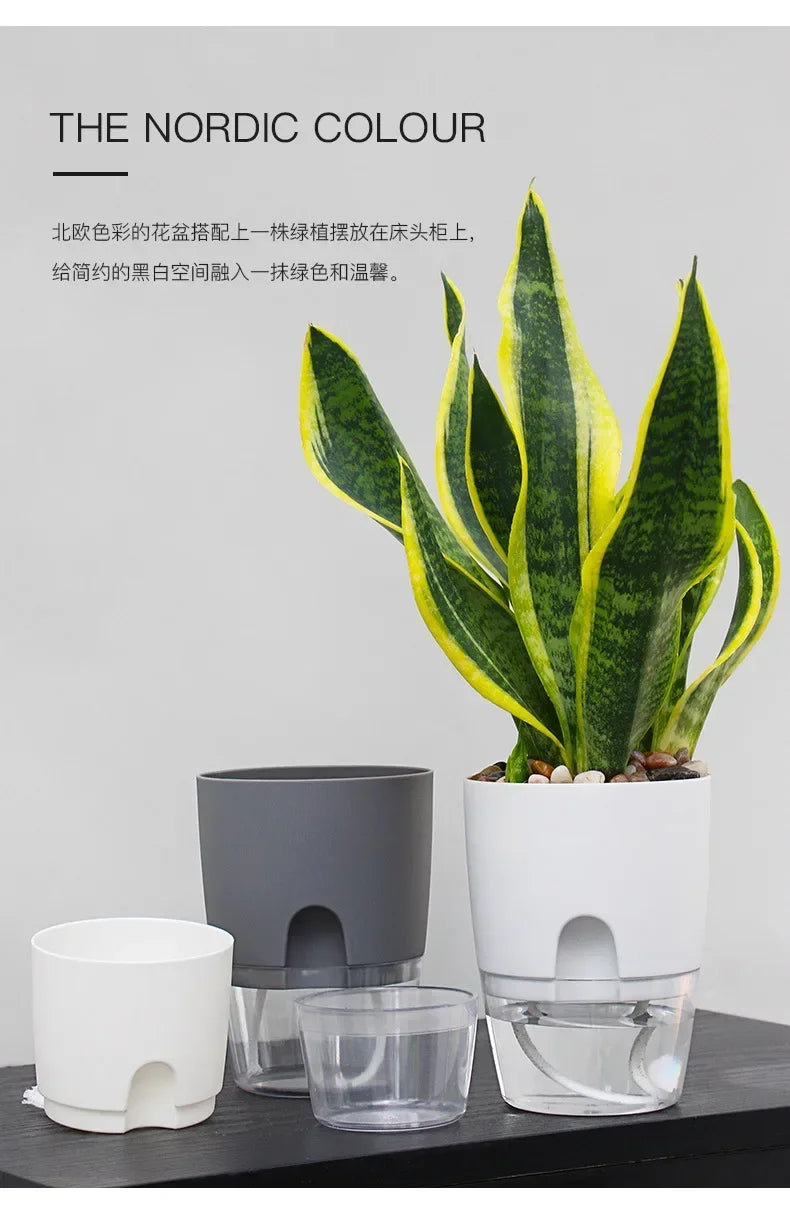 Self-Watering Flower Pot