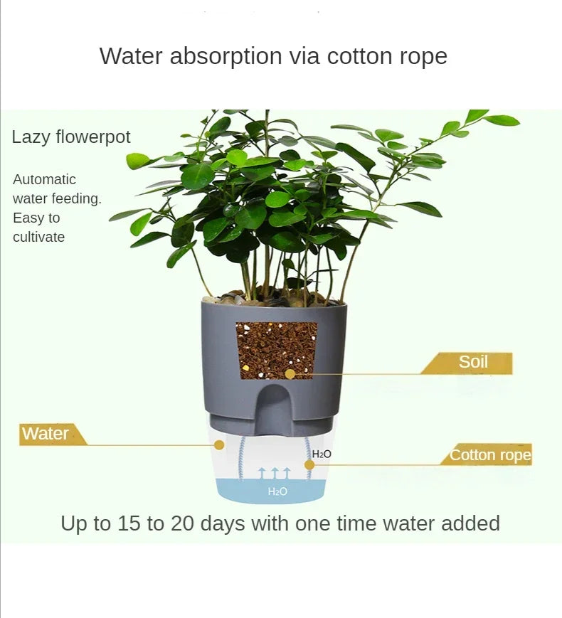Self-Watering Flower Pot