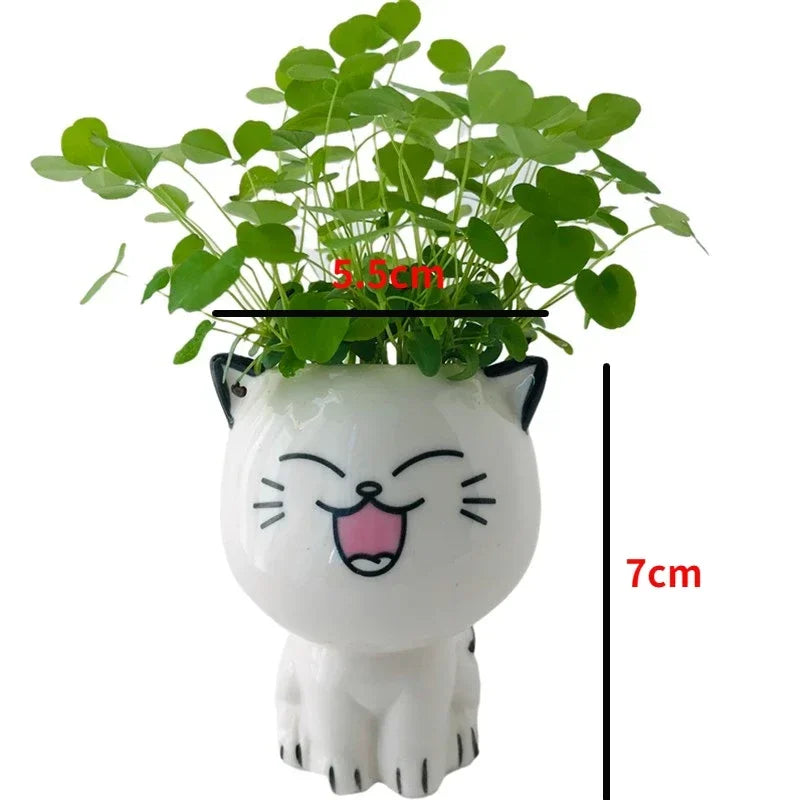 Cat Flower Pot (Small)
