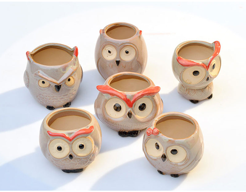 Owl Flower Pot (Small)