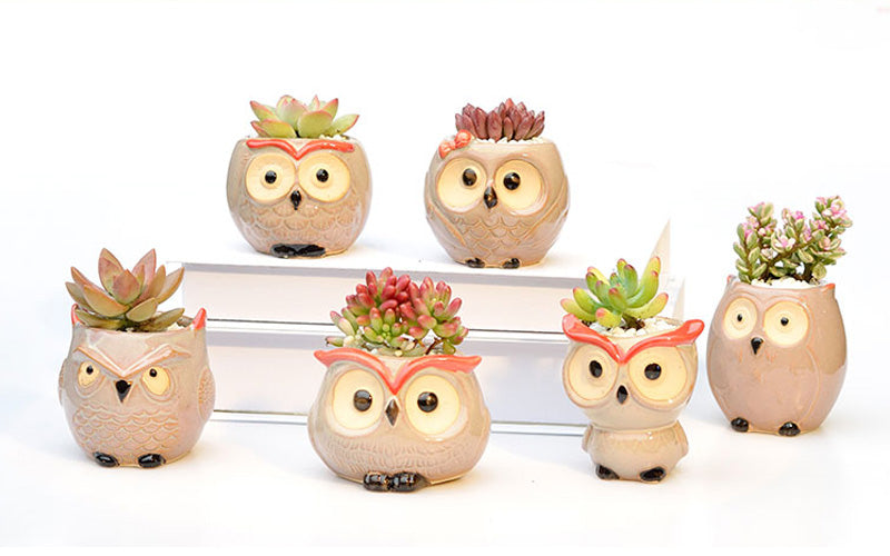 Owl Flower Pot (Small)
