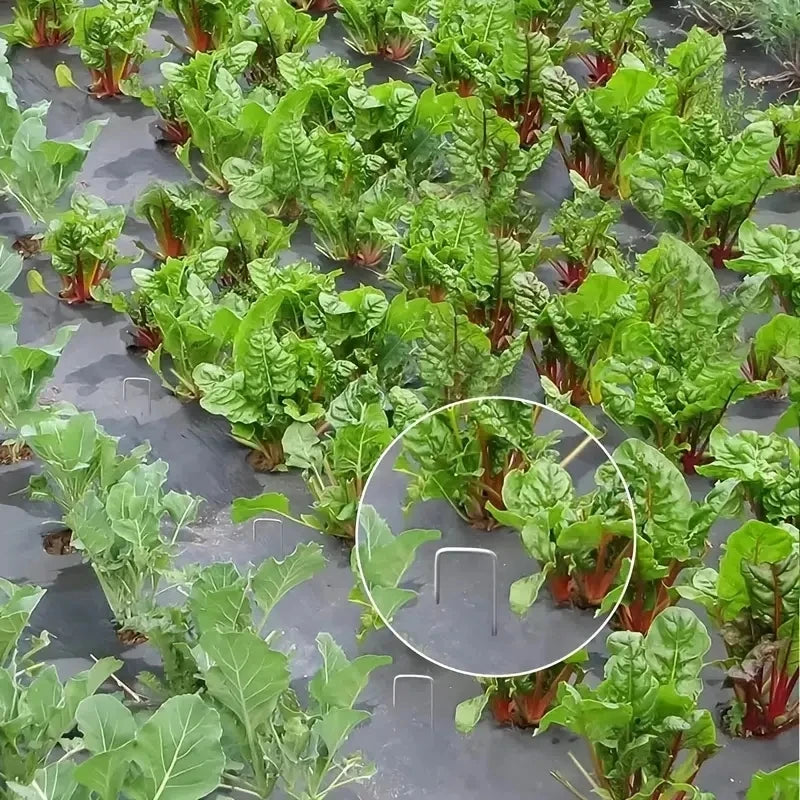 Fabric & Garden Staples 50ct, 100ct