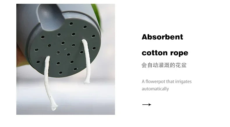 Self-Watering Flower Pot