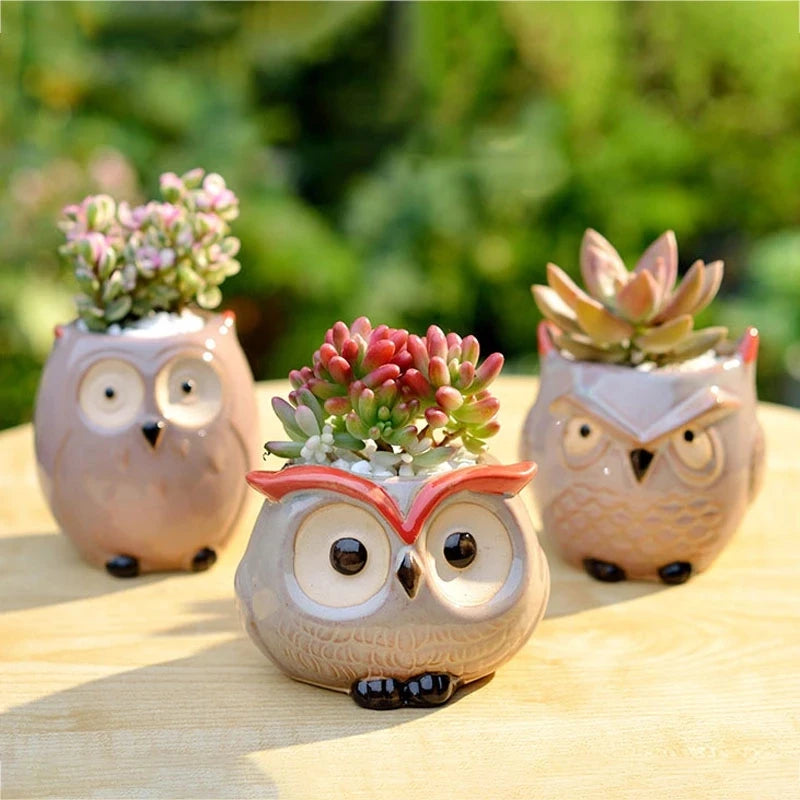 Owl Flower Pot (Small)