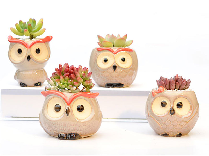 Owl Flower Pot (Small)