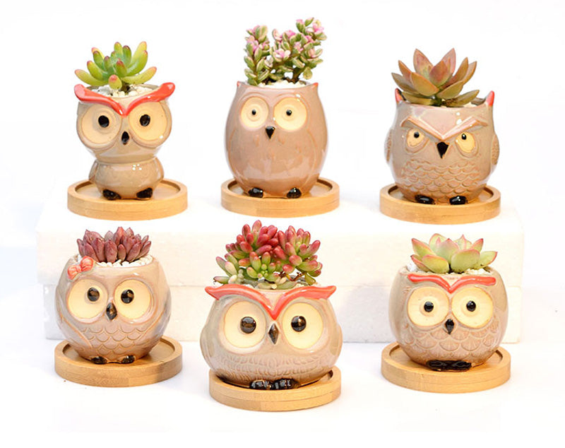 Owl Flower Pot (Small)