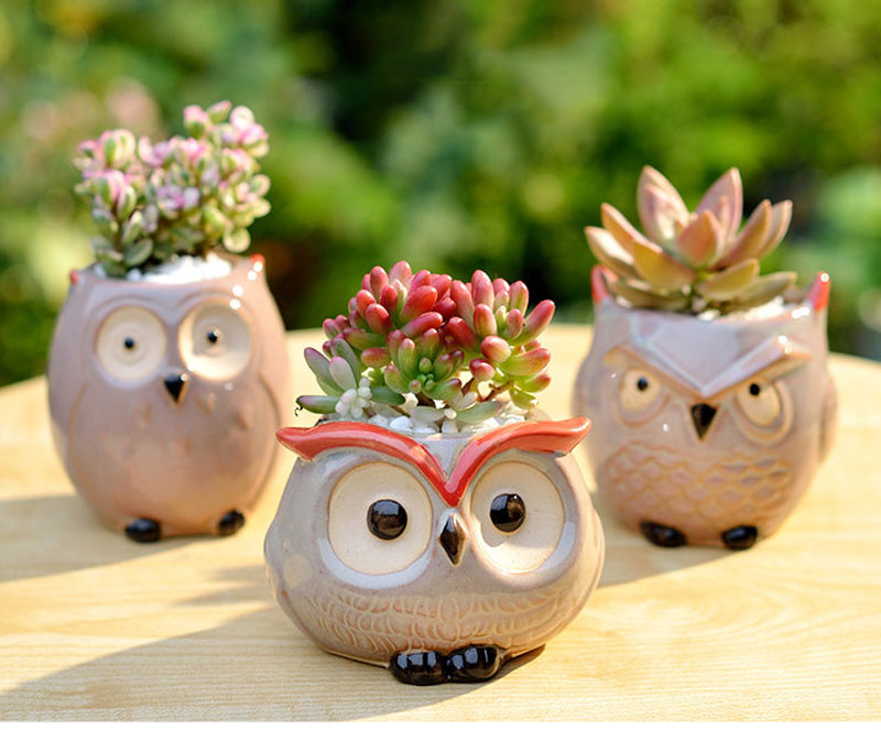 Owl Flower Pot (Small)