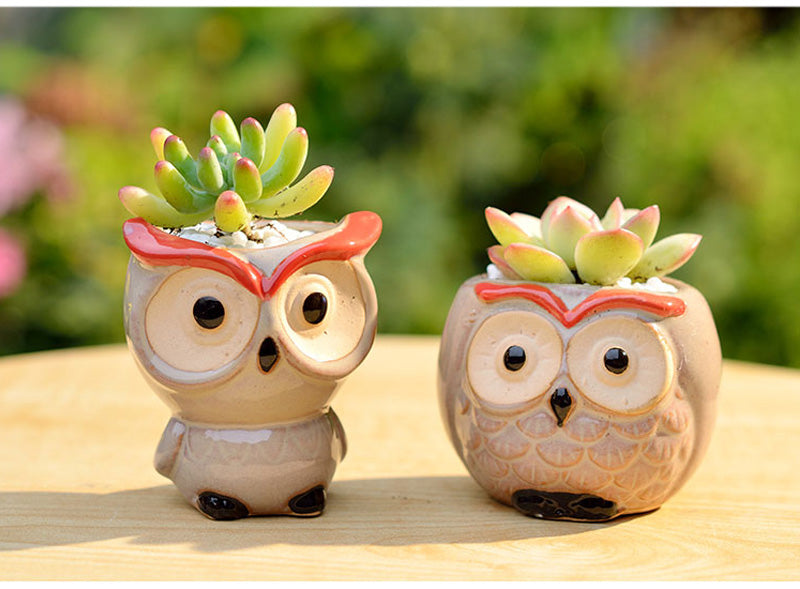 Owl Flower Pot (Small)