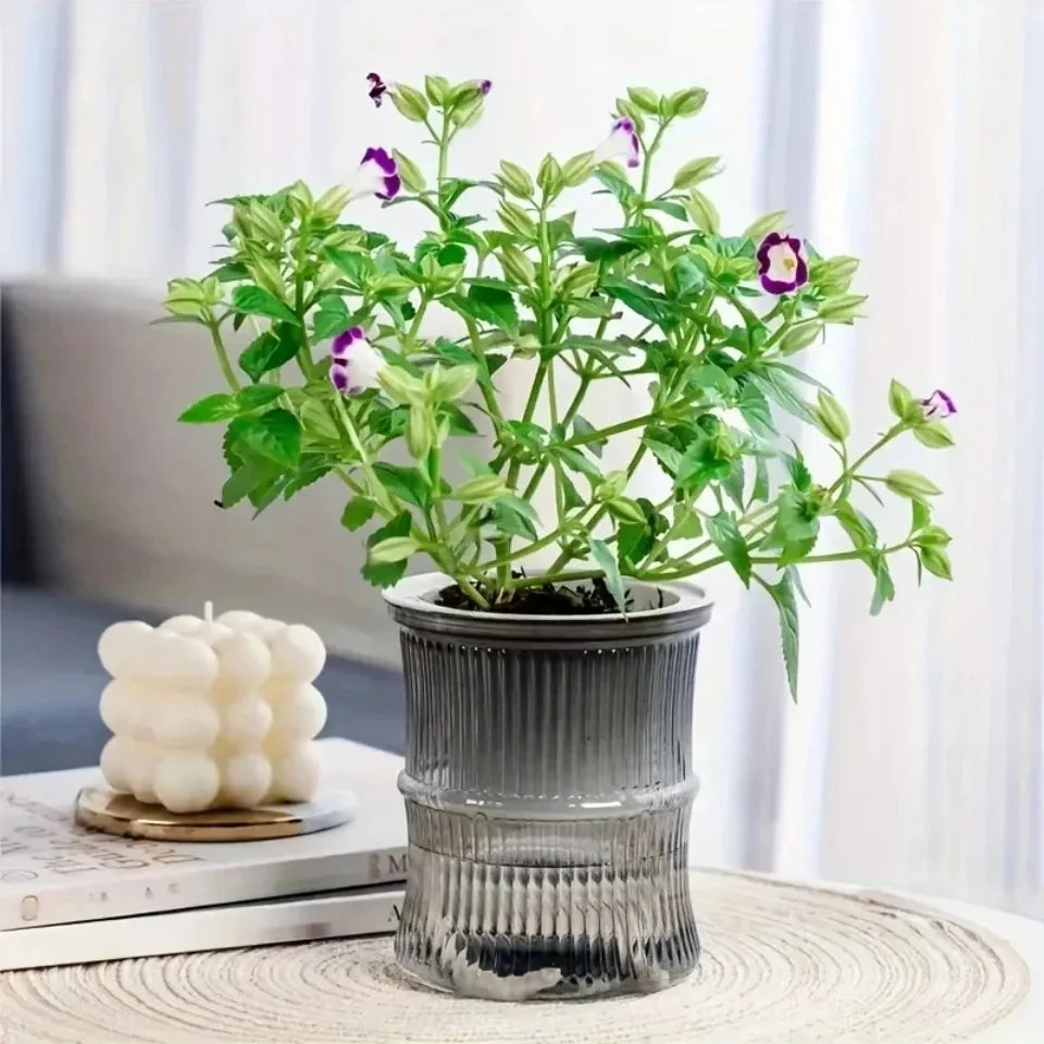 Self-Watering Flower Pot (12cm x 10cm)