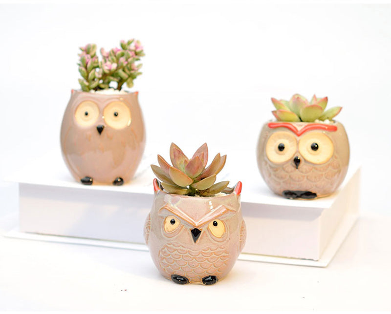 Owl Flower Pot (Small)
