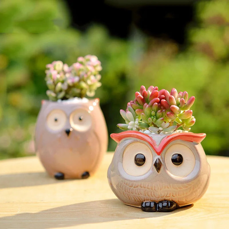 Owl Flower Pot (Small)