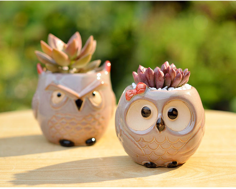 Owl Flower Pot (Small)