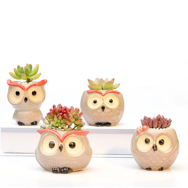Owl Flower Pot (Small)