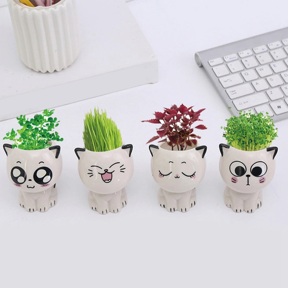 Cat Flower Pot (Small)