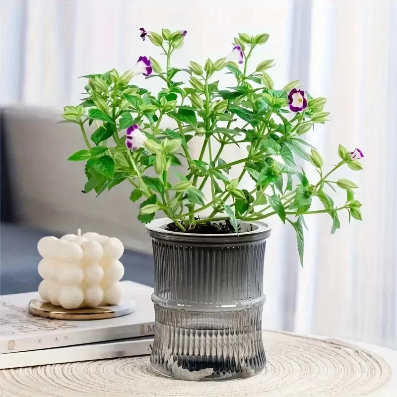 Self-Watering Flower Pot (12cm x 10cm)