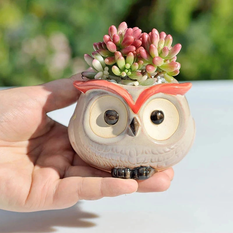 Owl Flower Pot (Small)