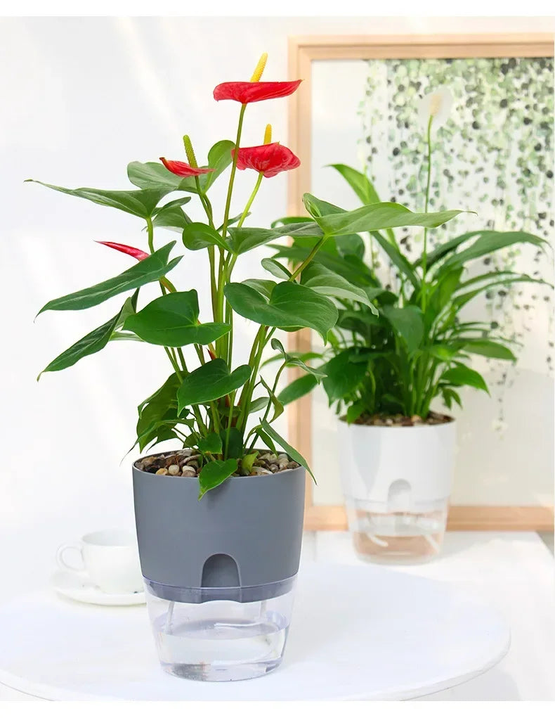 Self-Watering Flower Pot