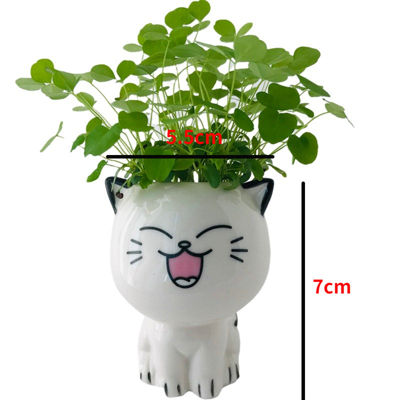Cat Flower Pot (Small)