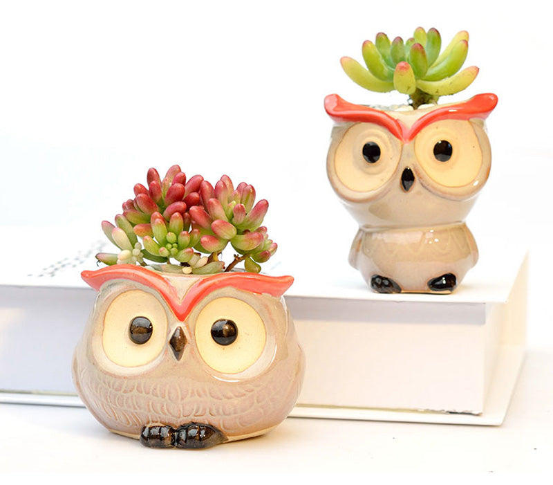 Owl Flower Pot (Small)