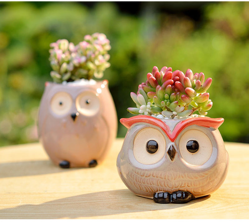 Owl Flower Pot (Small)