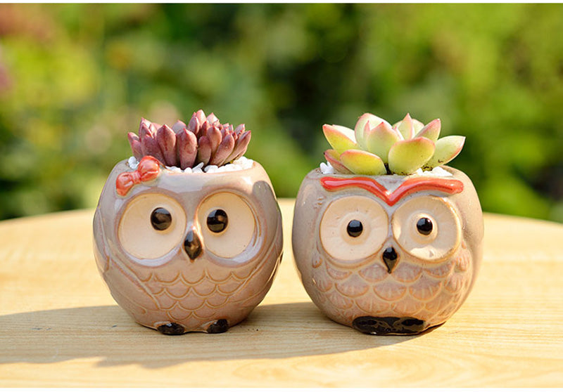 Owl Flower Pot (Small)