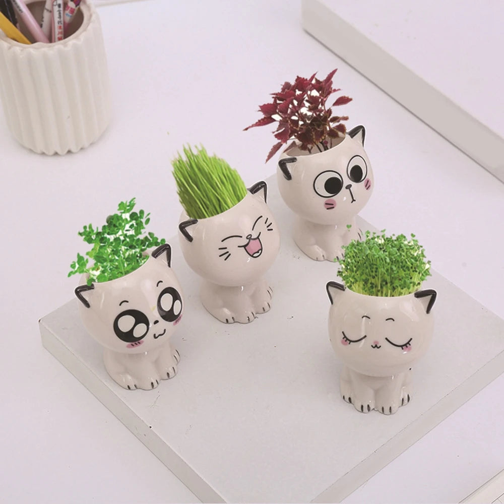 Cat Flower Pot (Small)
